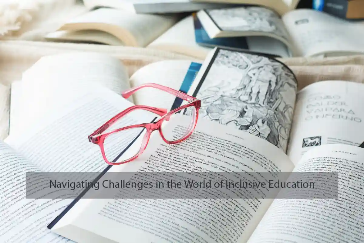 Navigating Challenges in the World of Inclusive Education