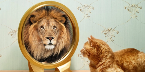 The Impact of Self-Deception: Why We Fool Ourselves and Live On