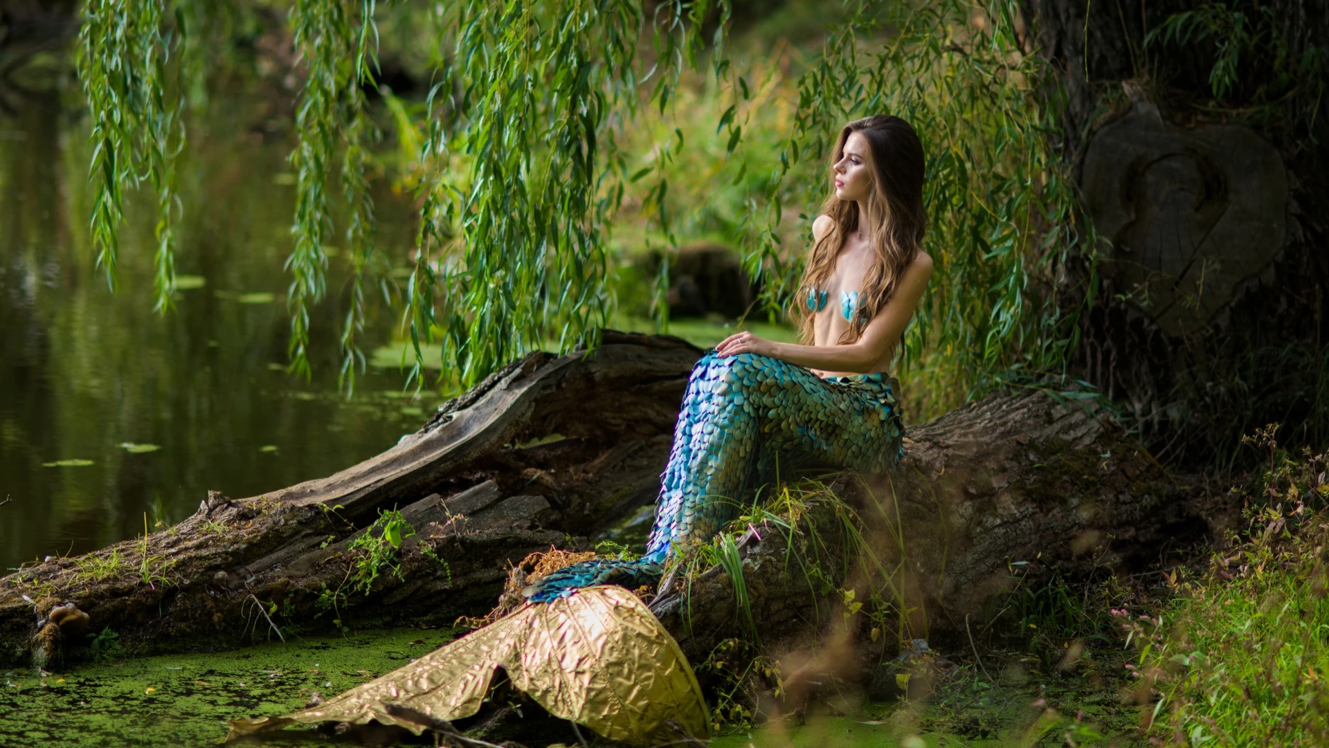 Enchanting World of Little Mermaidd0: A Magical Adventure