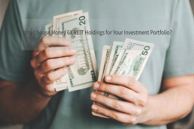 Why Choose Money 6X REIT Holdings for Your Investment Portfolio?