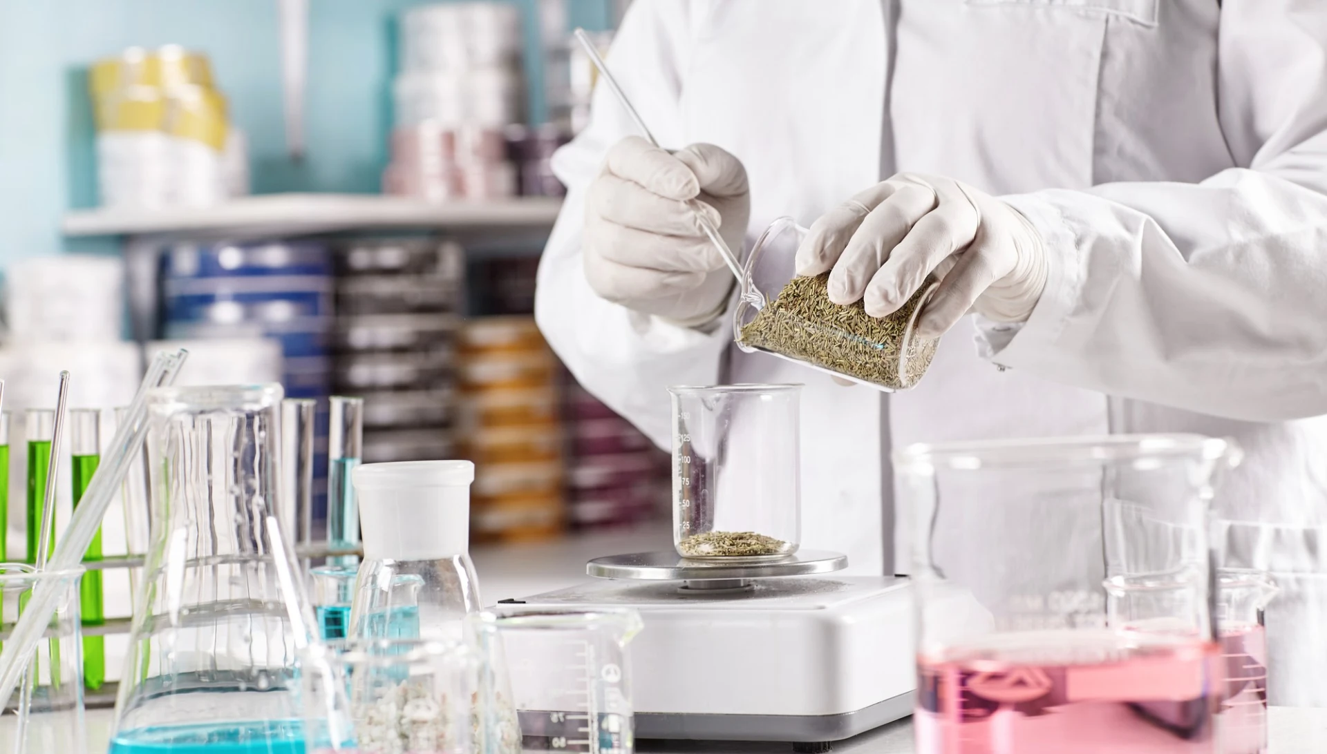 The Power of MSM and B1 Mixture: Unlocking the Secrets to Enhanced Vitality