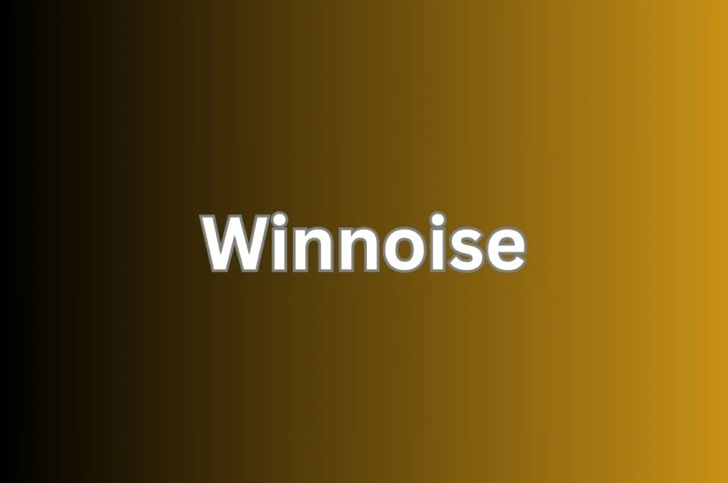 Exploring Winnoise: The Innovative Noise Cancellation Solution