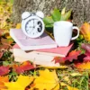 7 Seasonal Changes That Affect Your Daily Life