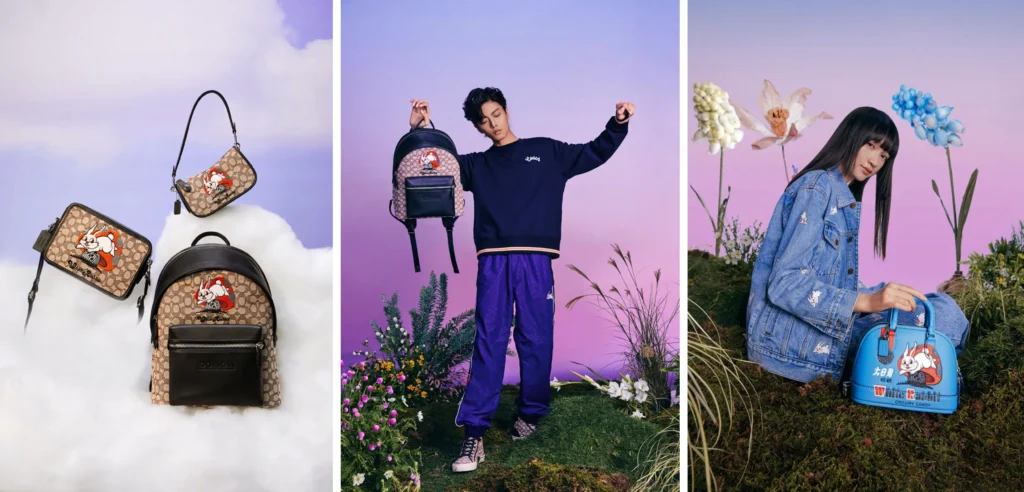  Coach is considered a luxury brand