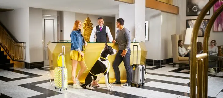 StayPineapple Lifestyle Hotel
