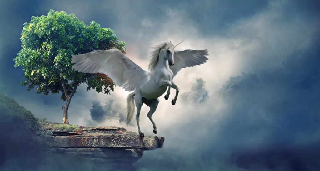 Unicorn Lifestyle