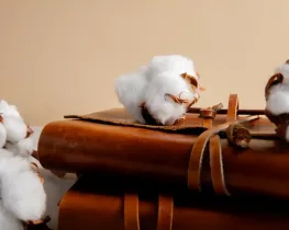 CB Cotton Revealed: The Truth Behind Its Real Name
