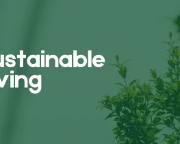 Exploring M0therearf: A Comprehensive Guide to Sustainable Living Practices