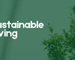 Exploring M0therearf: A Comprehensive Guide to Sustainable Living Practices