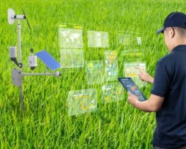 Exploring TA11672 SSY Auto Connect: A Complete Guide for Effective Use